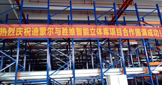 要說穿梭式貨架哪家好，嘉善迪蒙爾電子有限公司強推勝通！